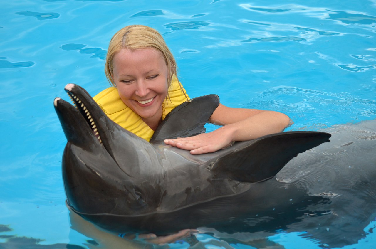 Cd дельфин: существо. Леонардо да винчи мадонна литта. Обложки альбомов дельфина. Bottlenose dolphin kills between porpoises. Существо дельфин.