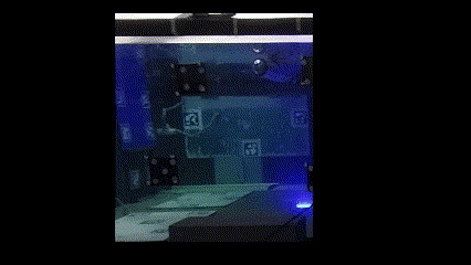 FlatDive (2)
