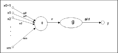 Single Neuron