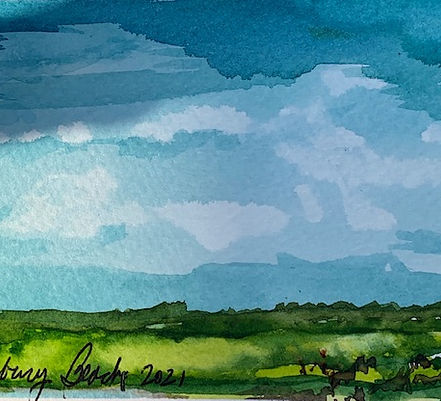 SALISBURY MARSHES.jpg