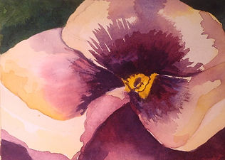 pansy.jpg