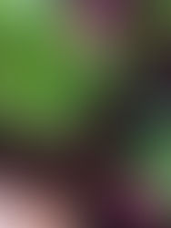 לְהוֹרִיד אֶת הַכְּפָפוֹת