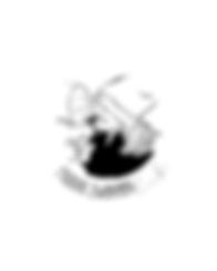 Untitled design.png