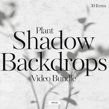 Plant Shadow Backdrops Video Bundle