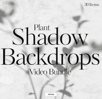 Plant Shadow Backdrops Video Bundle
