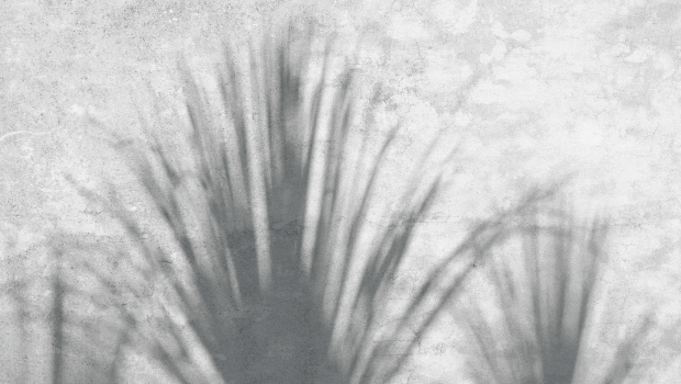 1-g.gif