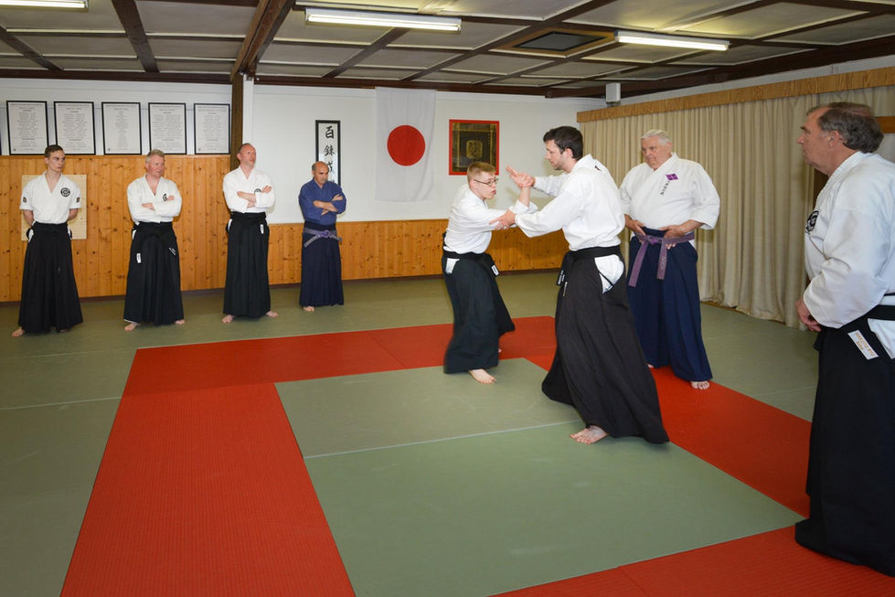 jujutsu4.jpeg