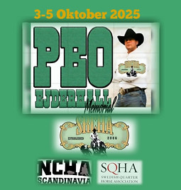 logo PEM 2025.jpg