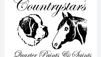 Countrystars Quarter Paints and Saints.jpg
