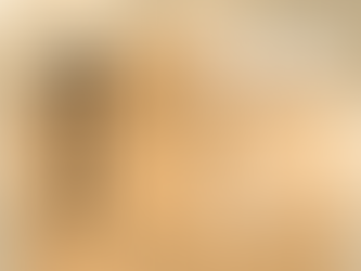 おうちinおうち体験見学会