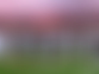 Si no ponen huevos, cómo quieren que ganemos...