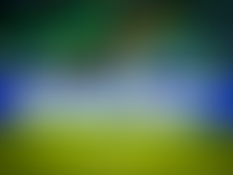 Mentalidad y actitud perdedora