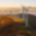 portfolio8.png