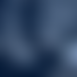 Guardrails: Safeguarding Financial Services from AI Risks