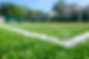 2 turf field .jpg