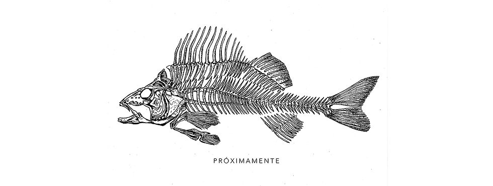 Próximamente.jpg