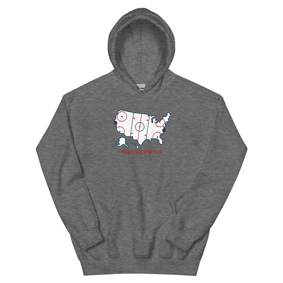 Thumbnail: USA Rink Hoodie