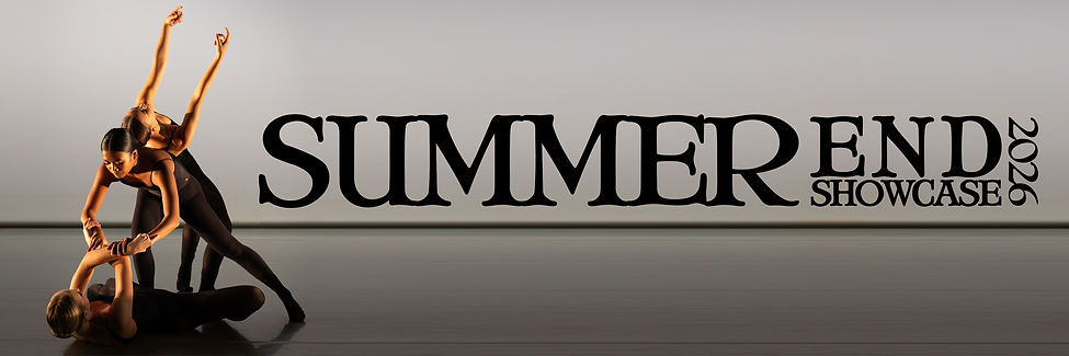 SE 2026 Banner Wix v2.jpg