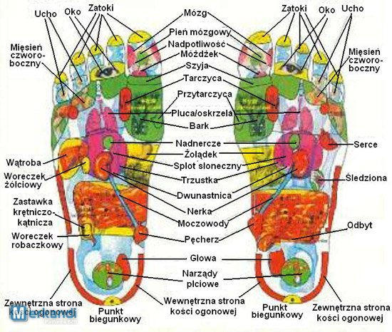 Thumbnail: Kinoki Foot Cleansing Patch