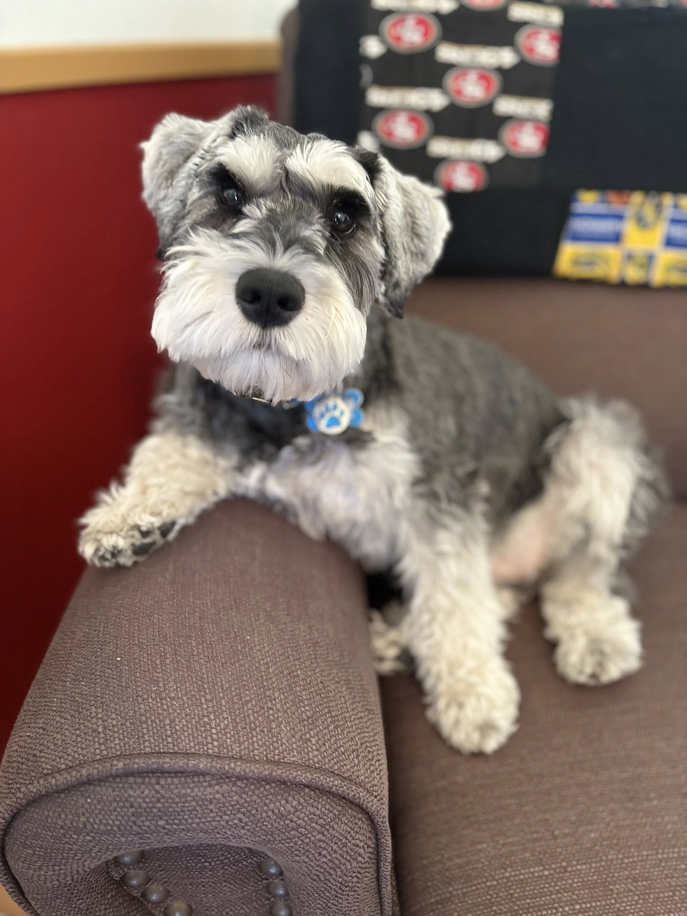 The Learned Bro: 2025 edition