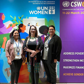 ONWA Delegation to attend 68th Session, UN Commission on the Status of Women