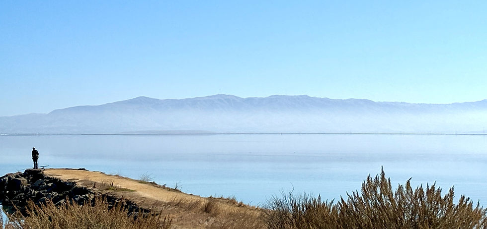 bay waters_edited.jpg