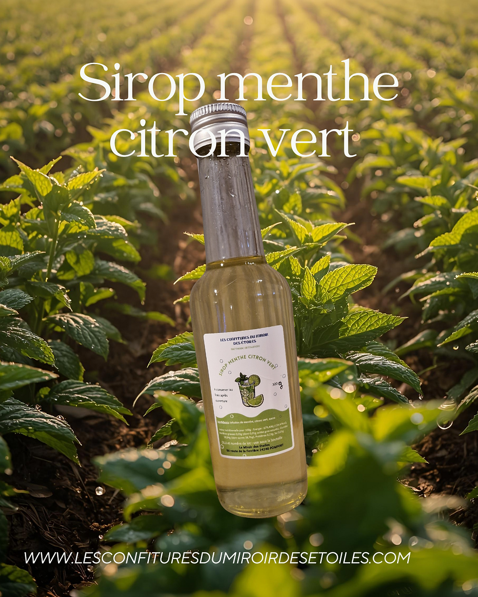 Sirop menthe citron vert devant un champs de menthe