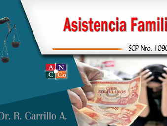 Sobre el cumplimiento de los seis (6) meses de la ejecución del apremio, en materia de asistencia fa