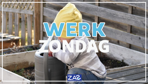 🛠️ Samen aan de slag op werkzondag 22 februari