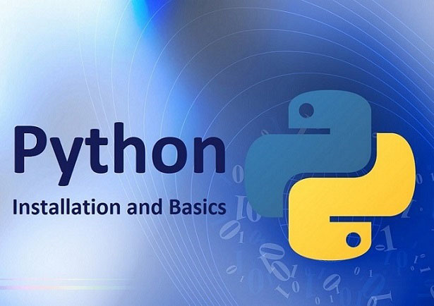 Python Basics: Installation, Syntax, Variables and Operations