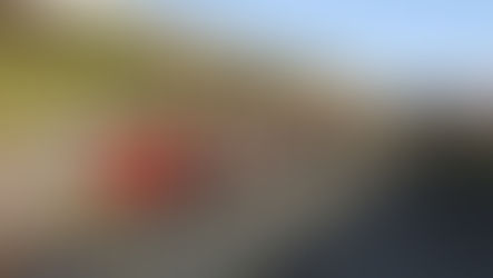 Volk's Electric Railway in Brighton