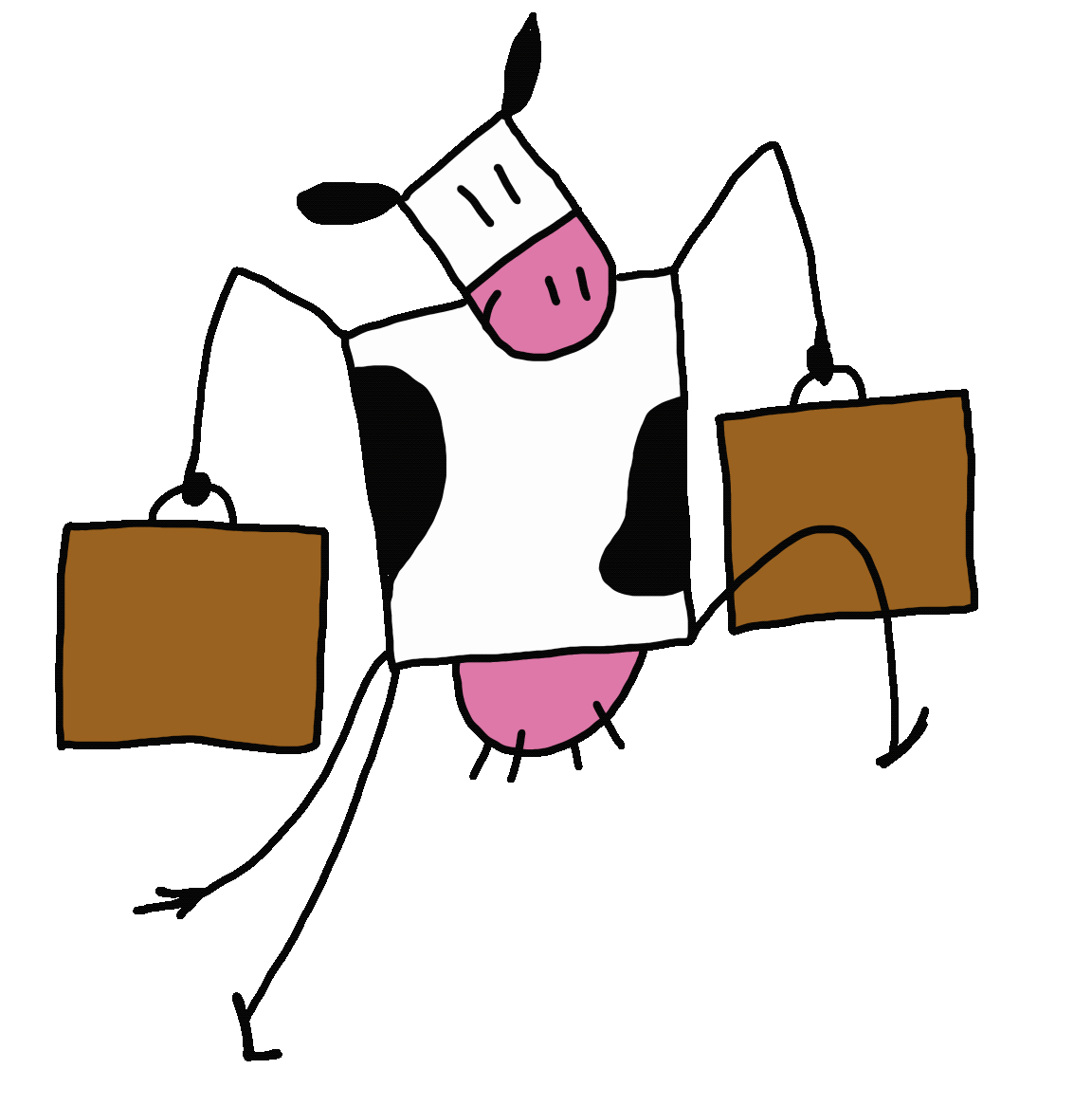 Chueli_suitcase.gif