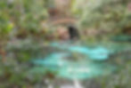 Ocala National Forest