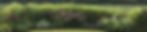 IMG_2584.jpeg