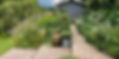 IMG_1719.jpeg