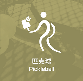 匹克球全球大熱新興運動 NESA SPORTS