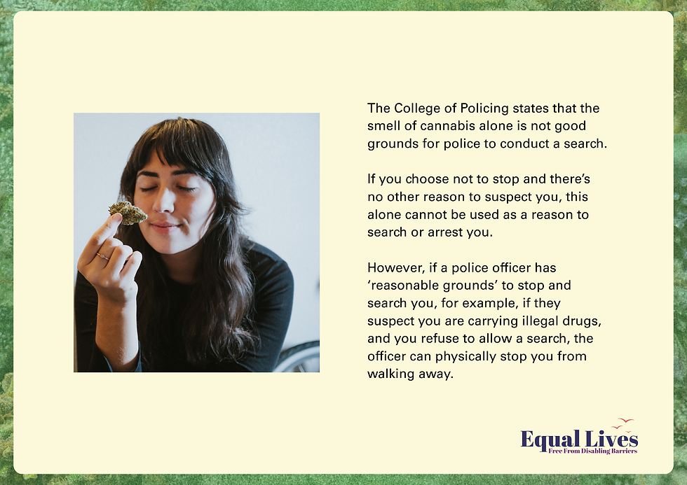 Central left: A person with long, brunette hair and fringe, wearing a black long-sleeved top, holds a cannabis bud, with their eyes closed, like they're smelling it.