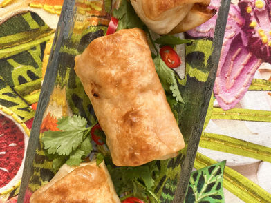 Mini Chicken Chimichangas