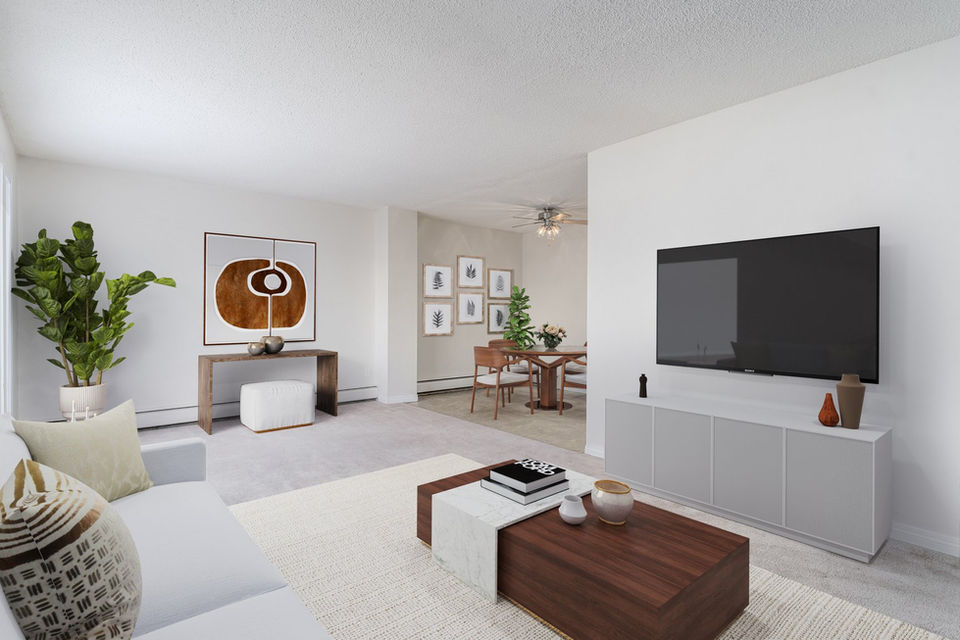 Modern living room setup with sofa, TV, and bright daylight.