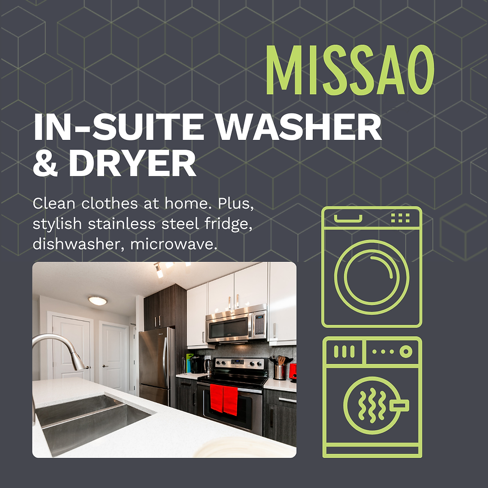 Missao 1-bedroom apartment, washer and dryer in suite