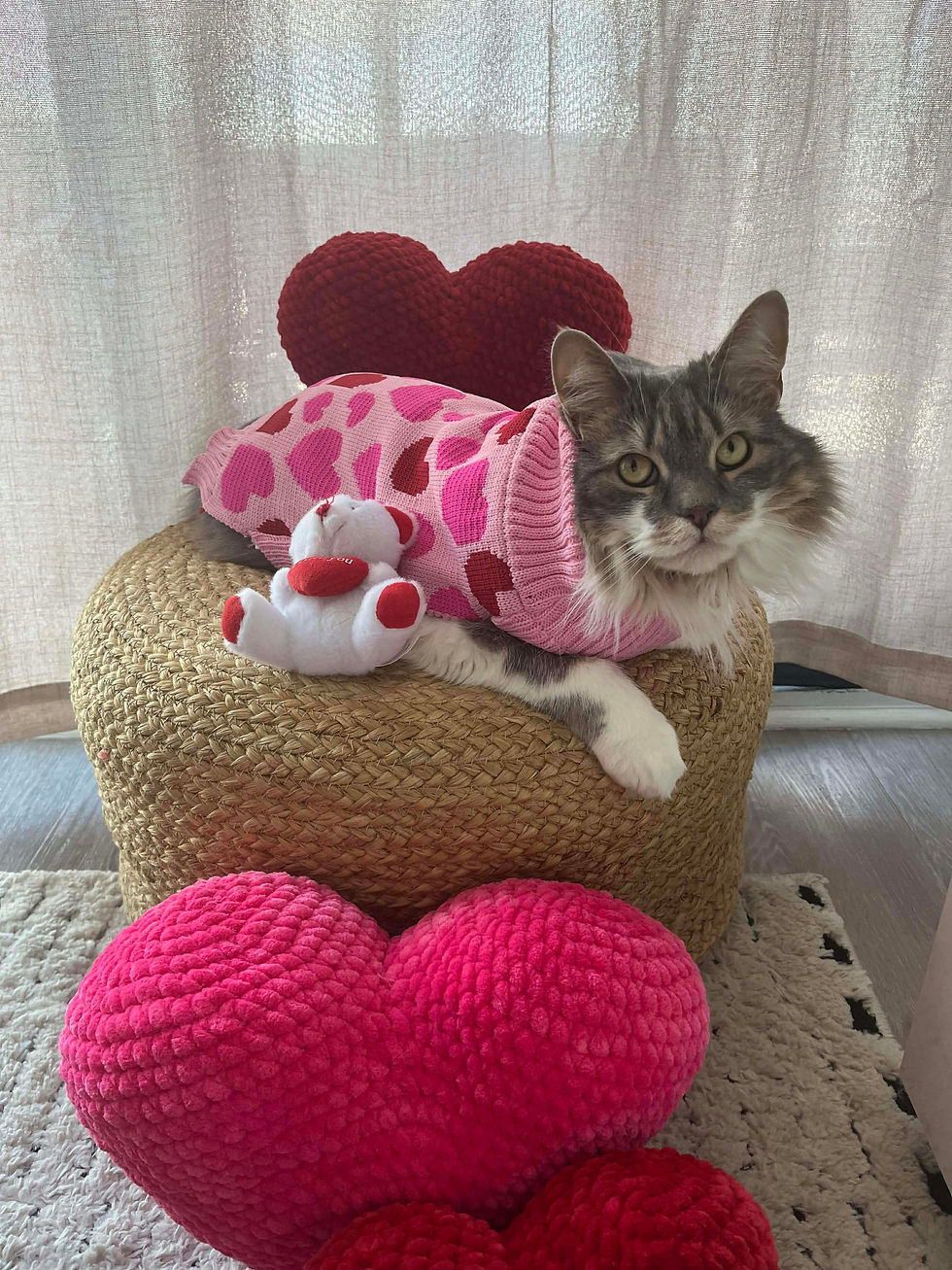 Upten - Pet friendly Rentals in Calgary 