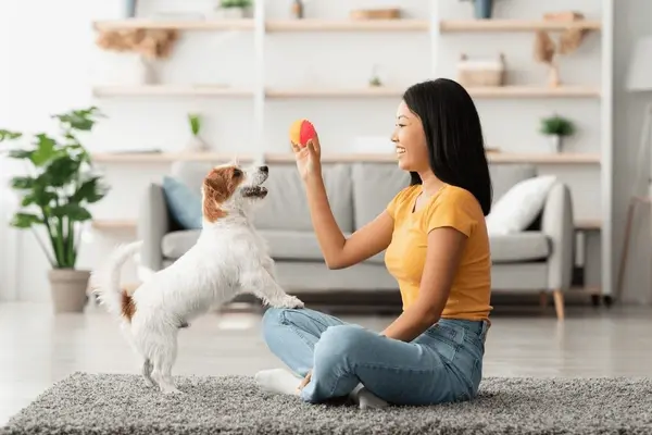 playing with pet