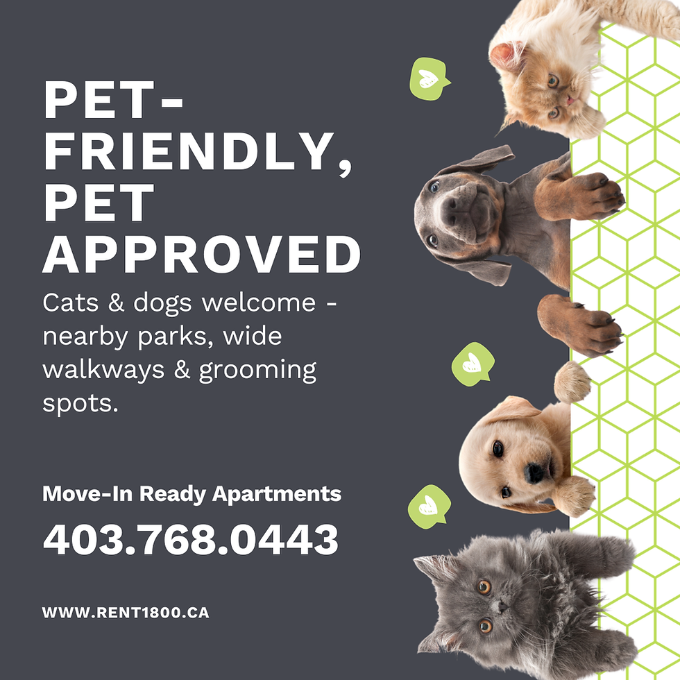 pet friendly rentals in mission, Calgary, near downtown