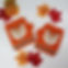 20230914_141810.jpg