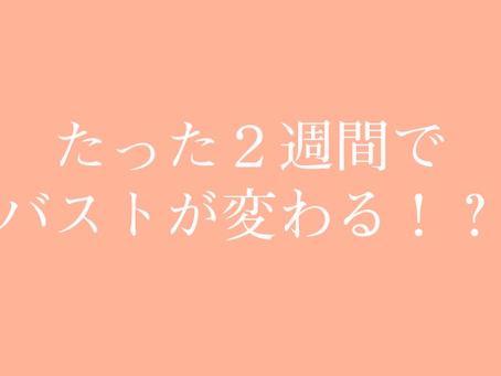 たった２週間でバストが変わる！？