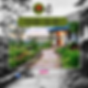 Audio cover