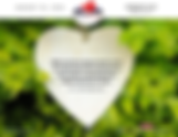 Command to Love