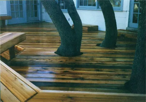 new polished deck with tree in the middle
