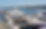 Untitled design - 2025-04-23T012845.149.png