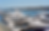 Untitled design (75).png